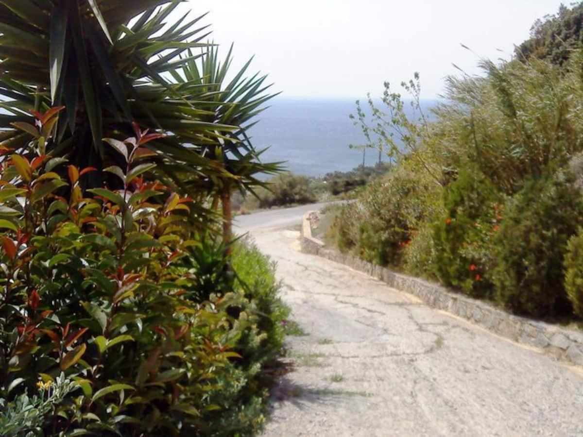 Villa Elgini Πλακιάς Εξωτερικό φωτογραφία